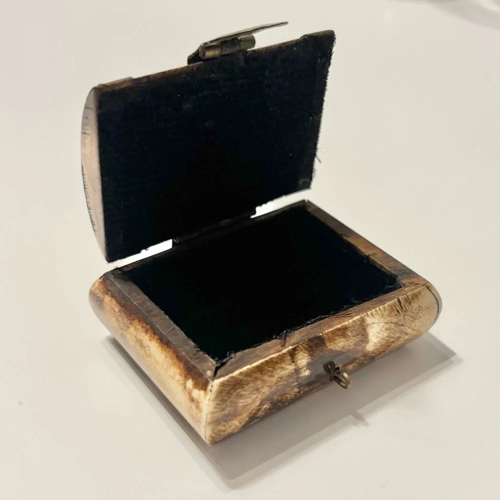 🎒BTS SALE📚 Vintage Camel Bone and Brass Decorative Trinket Box